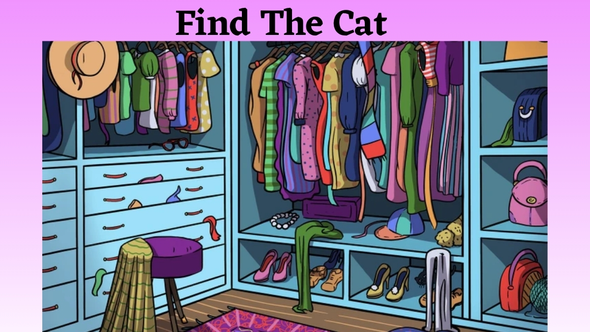 Optical Illusion IQ Test: Only People with 20/20 Vision Can Find the Hidden Cat in This Cloth Wardrobe