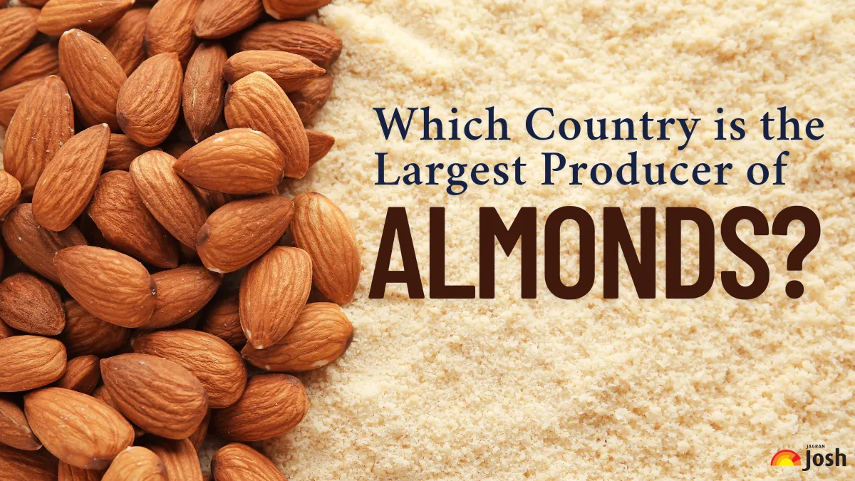 Which Country is the Largest Producer of Almonds?