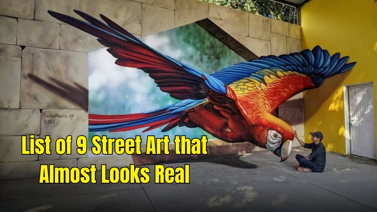 List of 9 Street Art that Almost Looks Real; Check Details