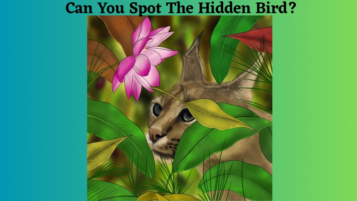 Optical Illusion IQ Test: Only People with 20/20 Vision Can Spot the Hidden Bird In This Optical Illusion Of a Wild Cat