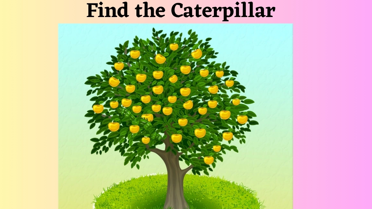 Optical Illusion IQ Test: Only People With 6/6 Vision Can Find The Hidden Caterpillar In This Apple Tree