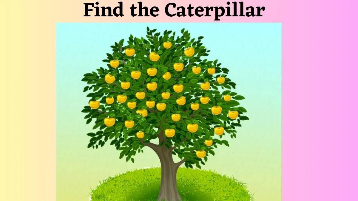 Optical Illusion IQ Test: Only People With 6/6 Vision Can Find The Hidden Caterpillar In This Apple Tree