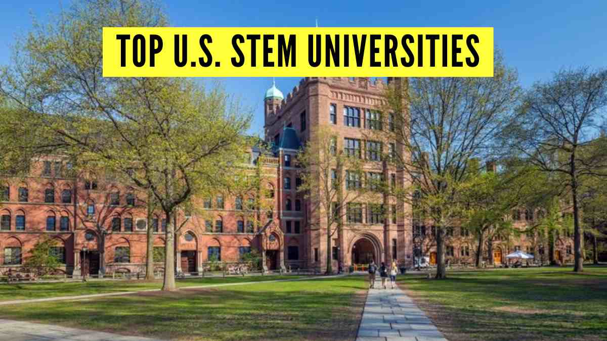 List of U.S. Universities for STEM (2025): Ranking, Tuition, 
Job Prospect and More
