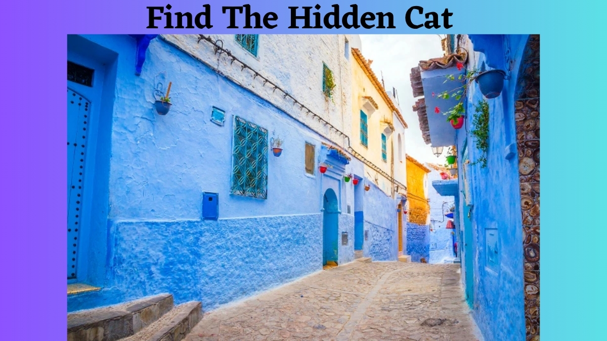 Optical Illusion IQ Test: Only People With 6/6 Vision Can Find The Hidden Cat In These Street's-Sided Houses