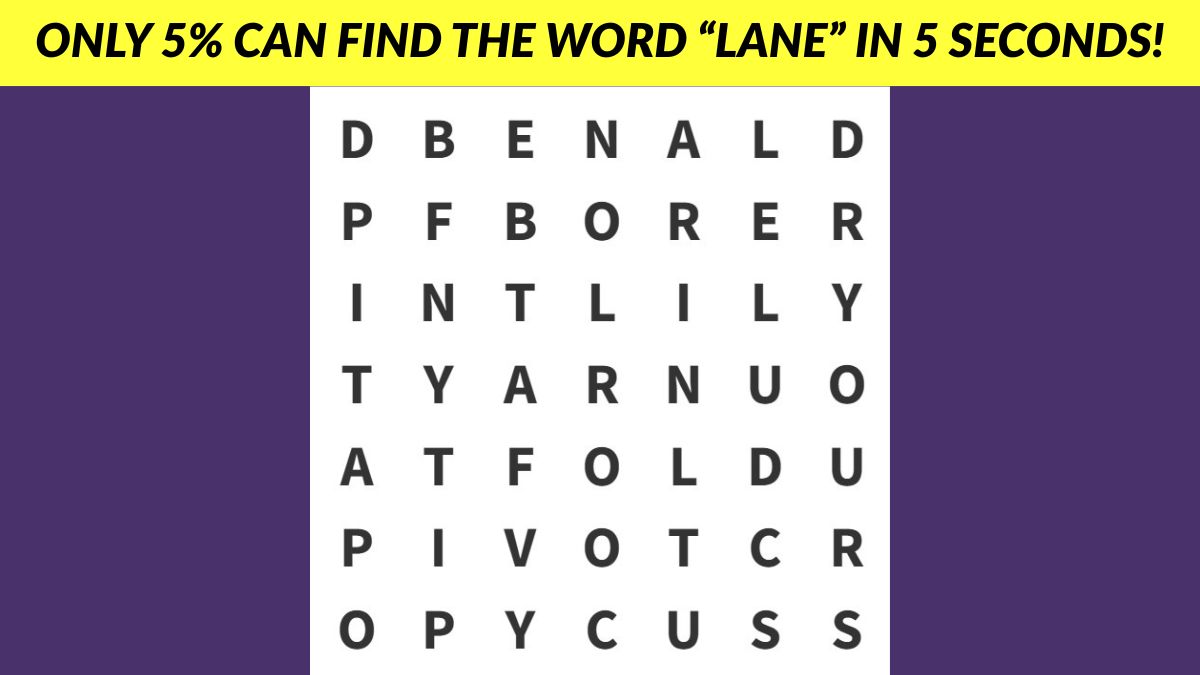 Word Puzzle: Only 5% Can Find the Word ‘LANE’ in 5 Seconds!