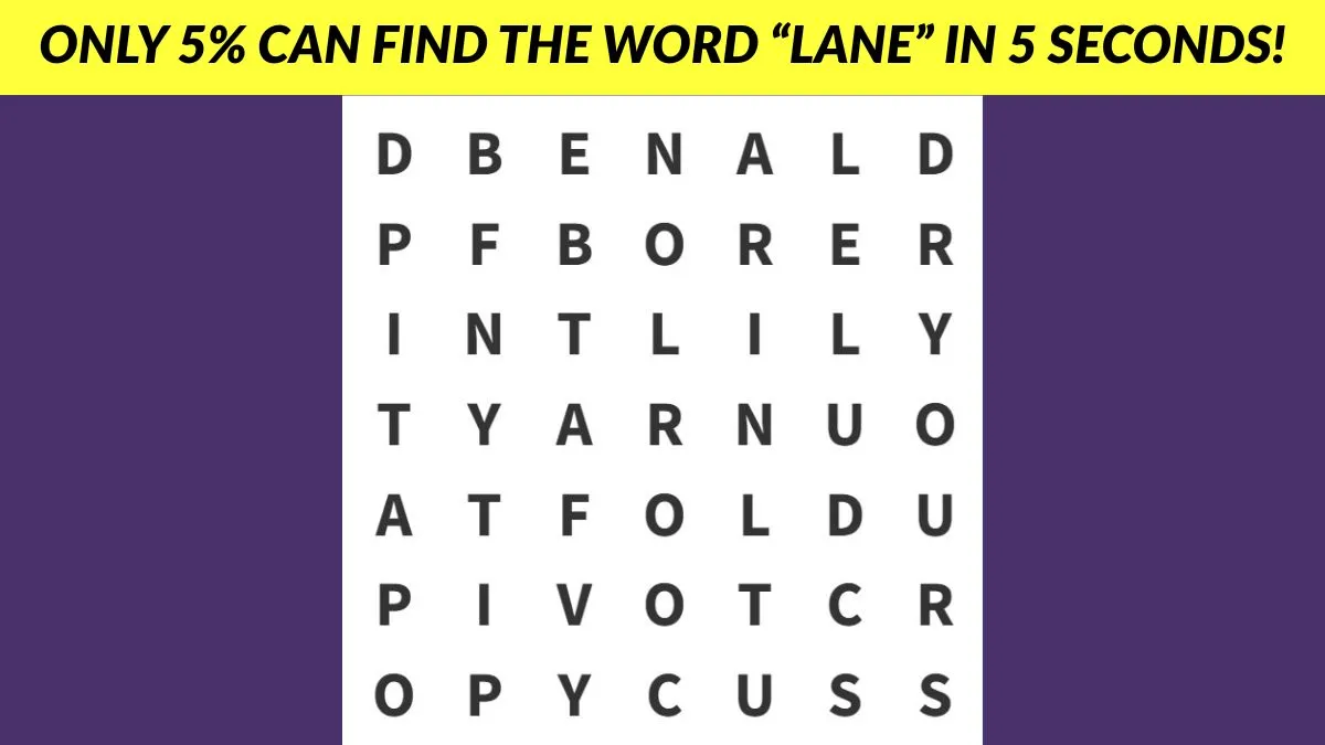 Find the word "LANE" in 5 seconds!