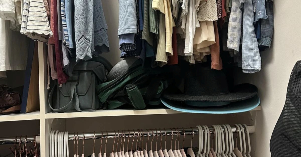 Is Your Brain Sharp Enough at IQ 123 to Spot the Cat? Only the Smartest Feline Fans Can Solve This Wardrobe Mystery
