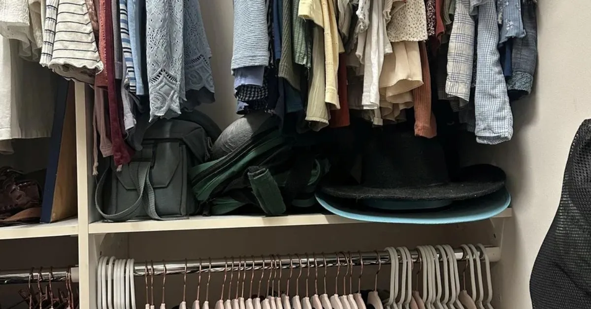 Only Cat Lovers With High IQ Can Find the Hidden Feline in 11 Seconds