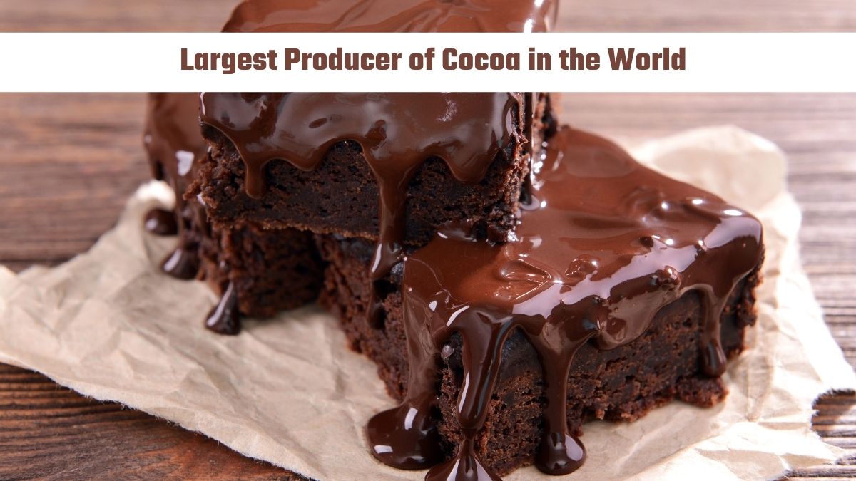 Which Country is the Largest Producer of Cocoa in the World?