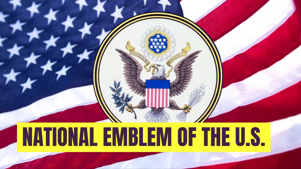 What is the National Emblem of the U.S.? Check Meaning and Interesting Facts
