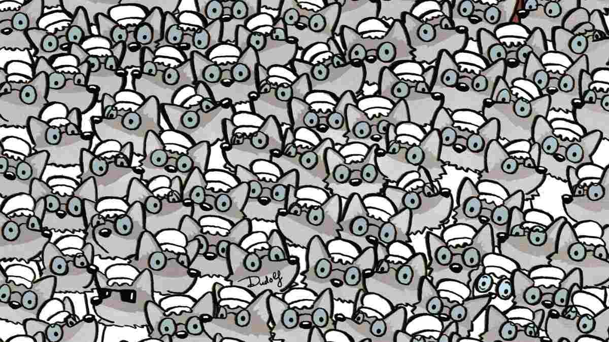 Can You Spot The Grandma Hidden Among The Wolves? This Puzzle Will Reveal Your Brain Power In 15 Seconds!