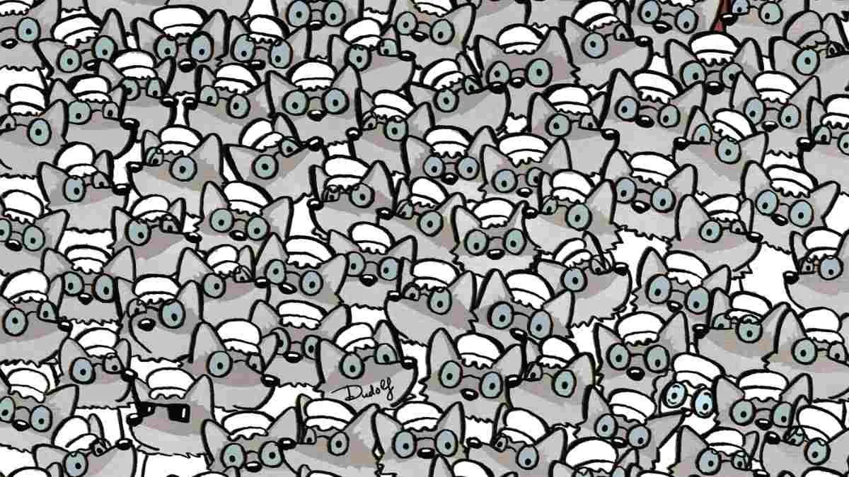 Spot the grandma hidden among wolves. Can you?