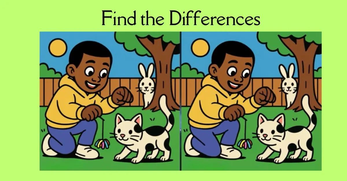 Spot 3 Differences in Boy Playing With His Cat