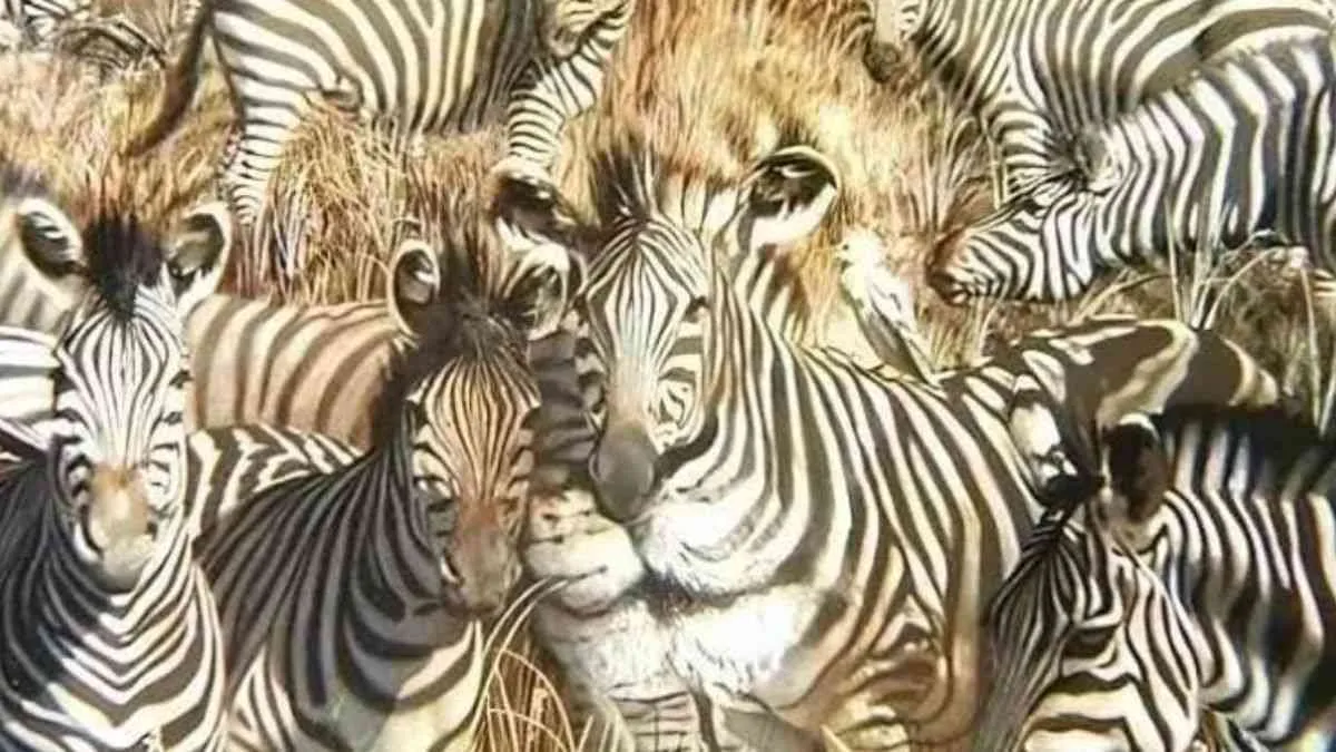 A lion or zebras? Take this optical illusion personality test to reveal your hidden personality traits.