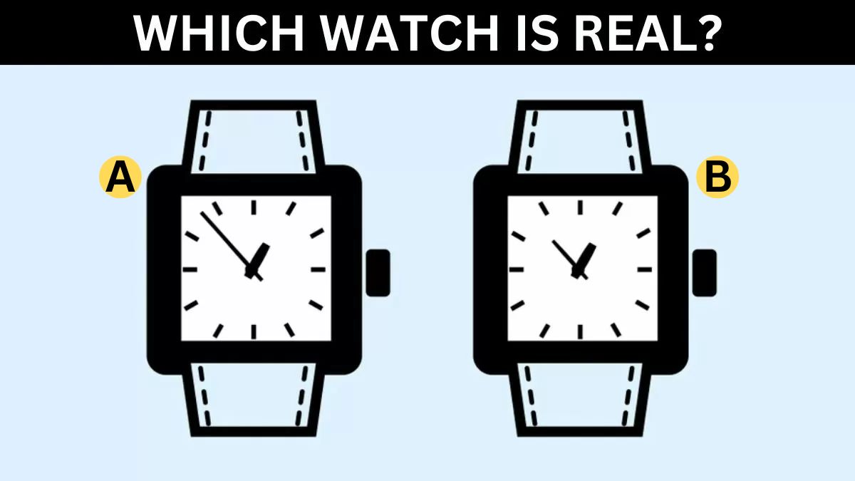 Only A Genius With 300+ IQ Can Tell Which Watch Is Real In 15 Seconds! Take The Challenge Now!