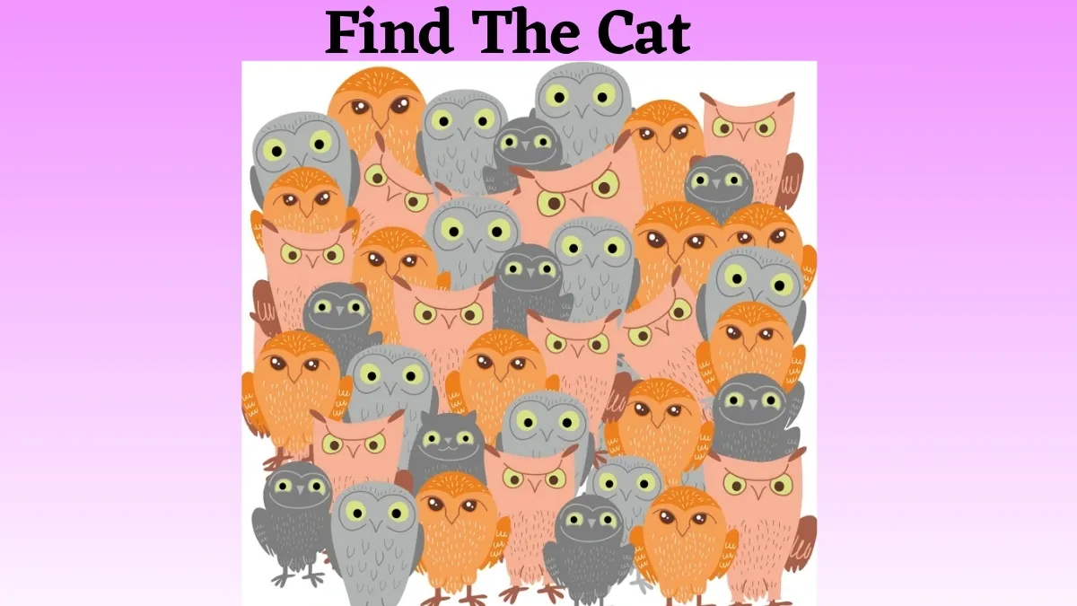 Optical Illusion IQ Test: Only People with 6/6 Vision Can Spot the Hidden Cat In This Optical Illusion of an Owl