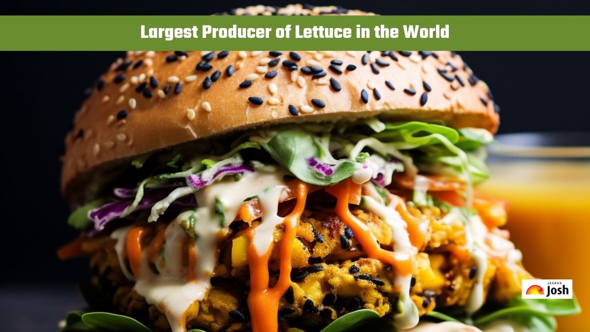 Which Country is the Largest Producer of Lettuce in the World?