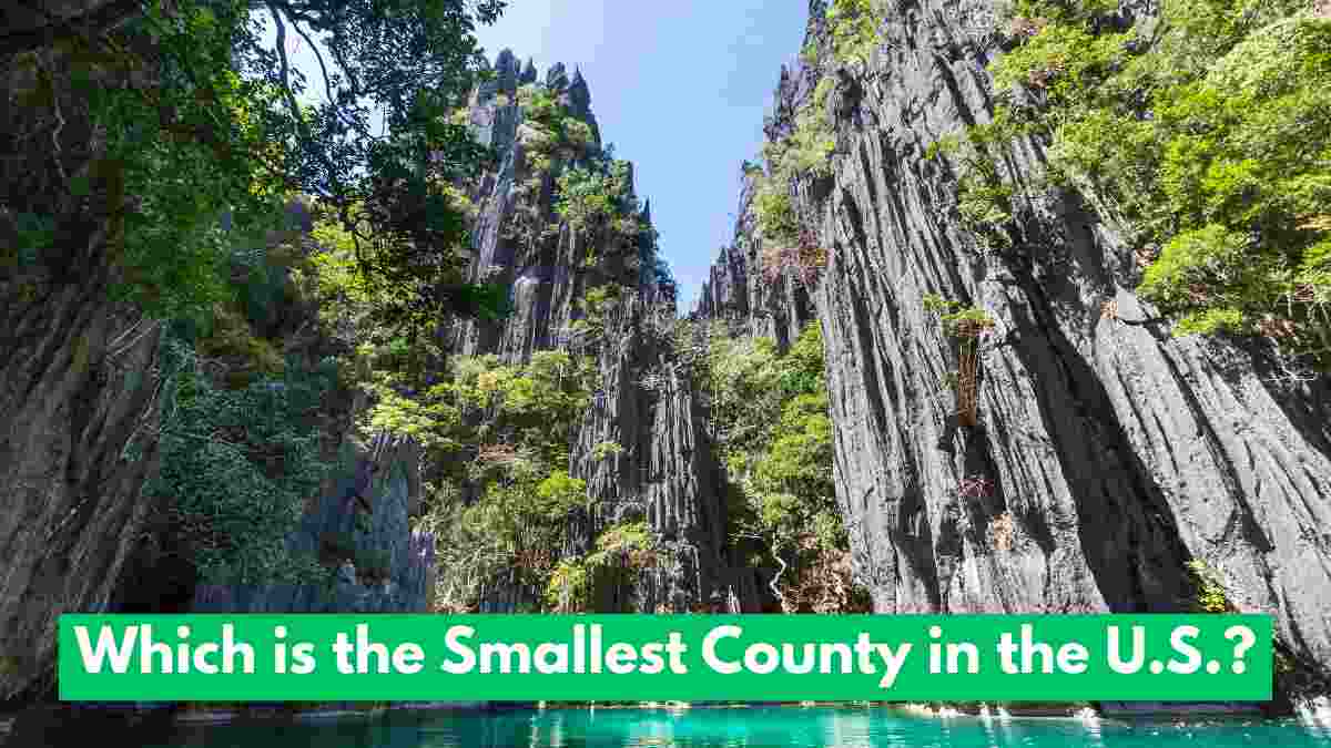 Which is the Smallest County in the U.S.? Check the Location, Population, Government structure and More