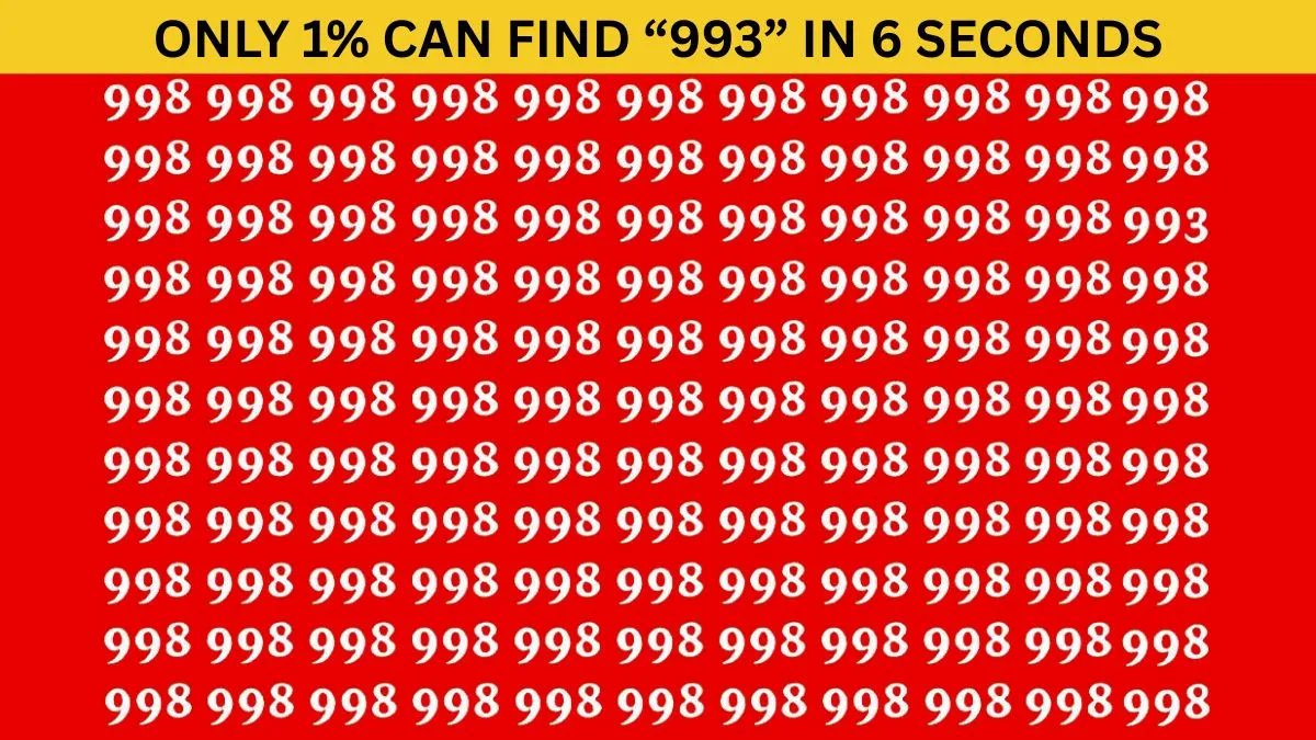Find "993" in 6 seconds!