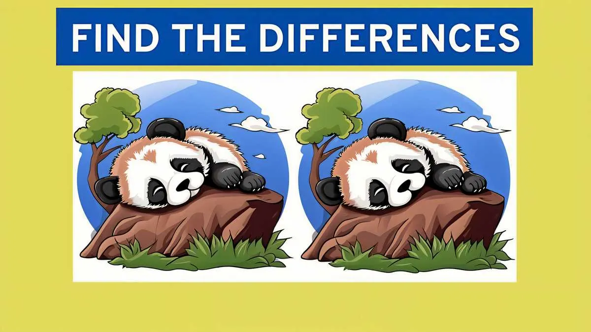 Spot 3 differences between sleeping panda pictures