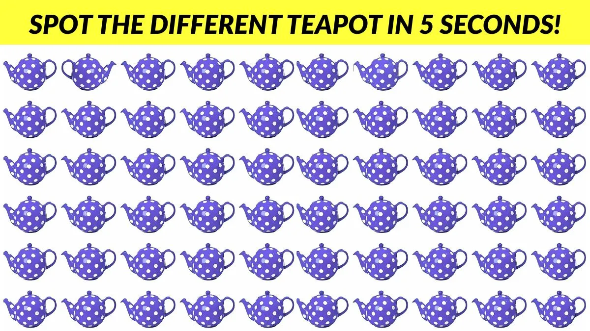 Find the different teapot in 5 seconds!
