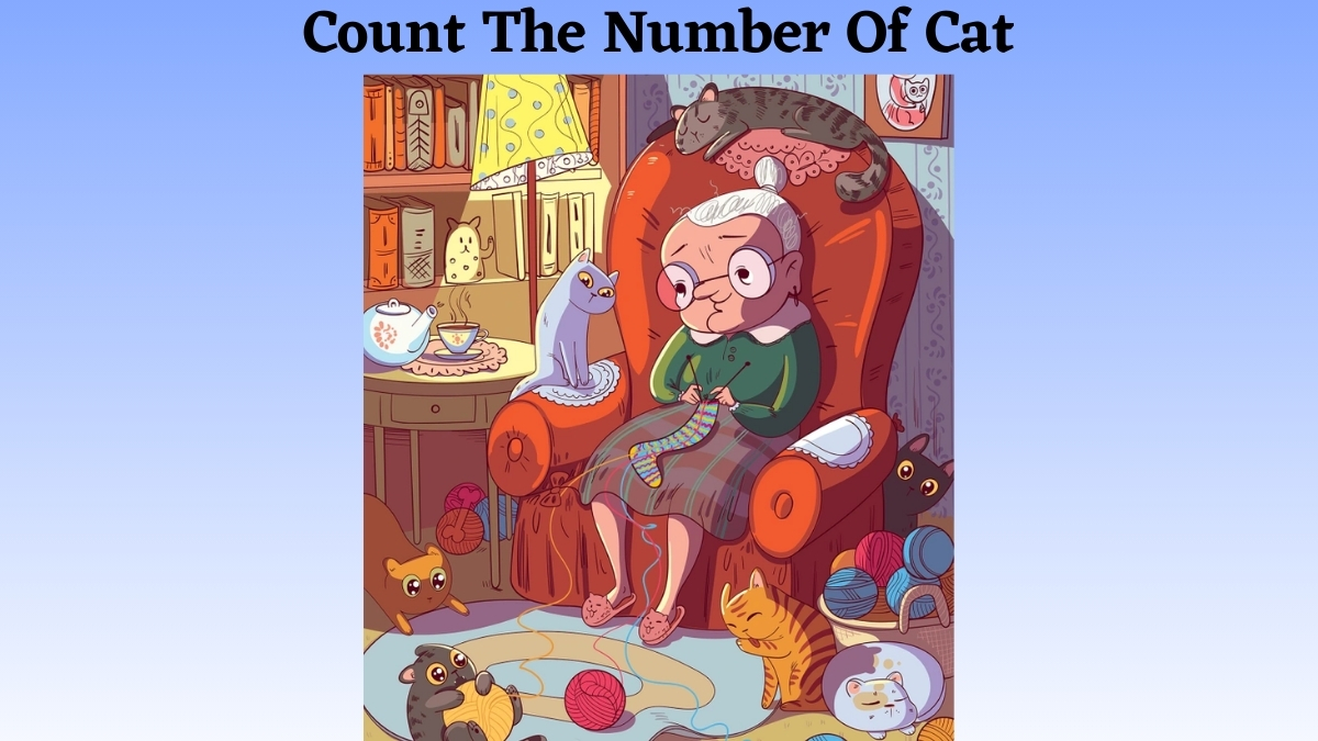 Optical Illusion IQ Test: Only People with 20/20 Vision Can Find The Number of Cats Around the Old Lady