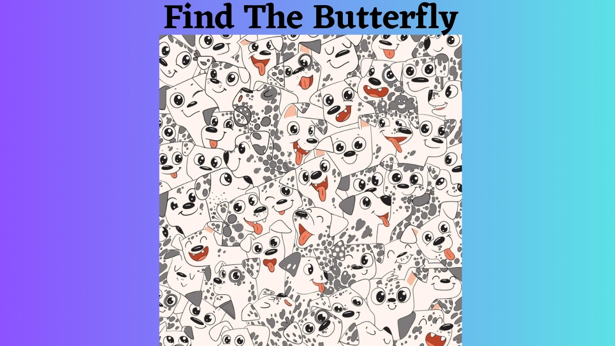 If You Possess A 140+ IQ Level, Then Try To Find The Hidden Butterfly In These Smiley  Dogs