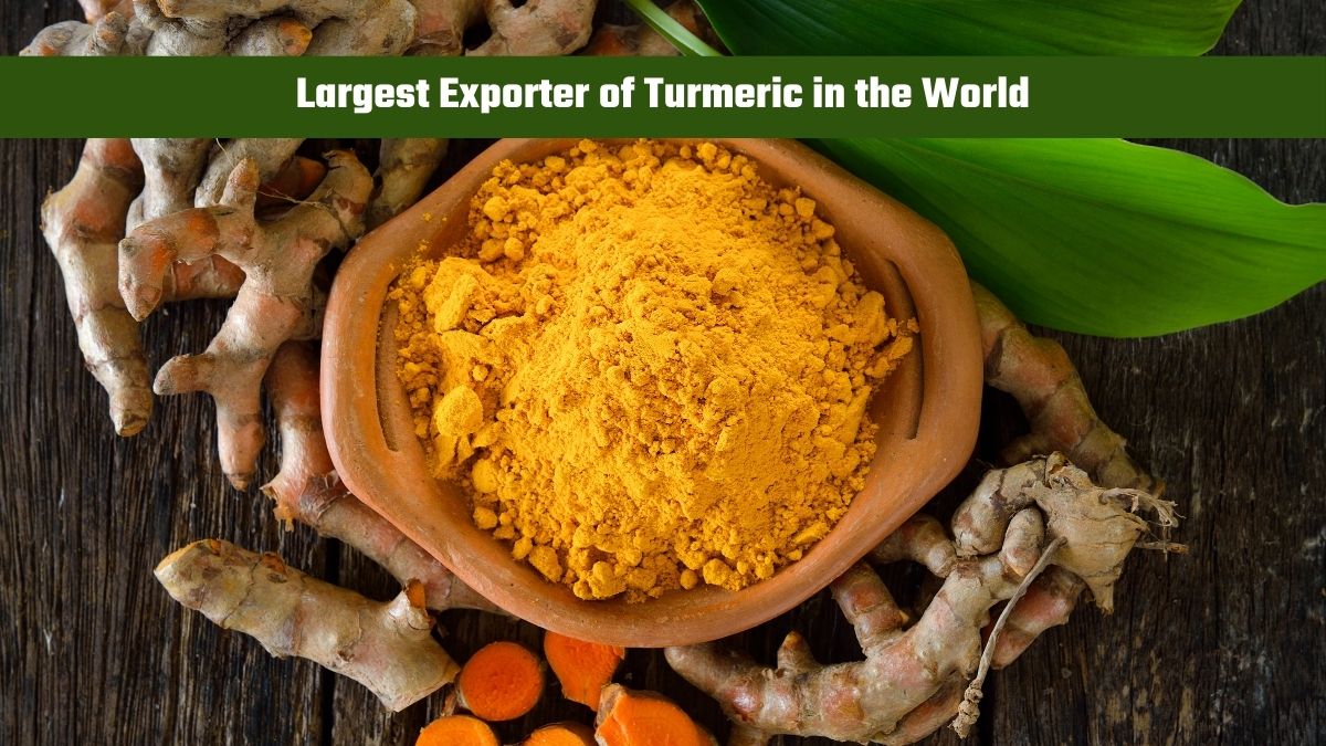 Which Country is the Largest Exporter of Turmeric in the World?