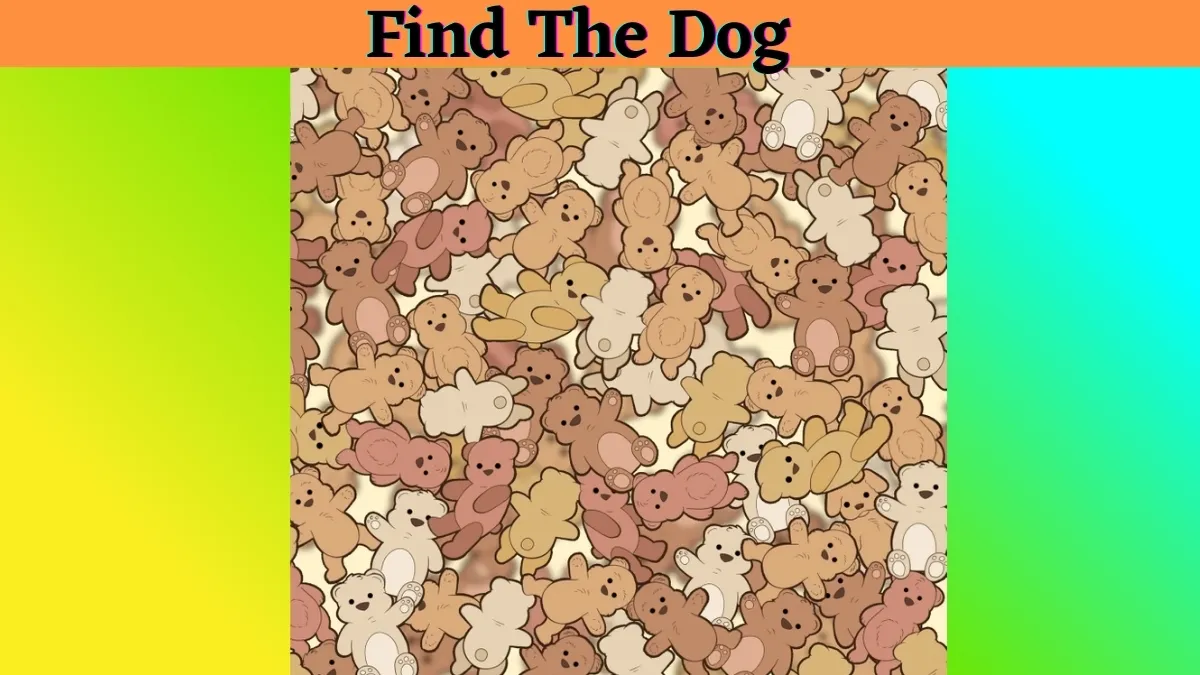 Optical Illusion IQ Test: Only People with 6/6 Vision Can Spot the Hidden Dog In This Optical Illusion of Teddy Bears
