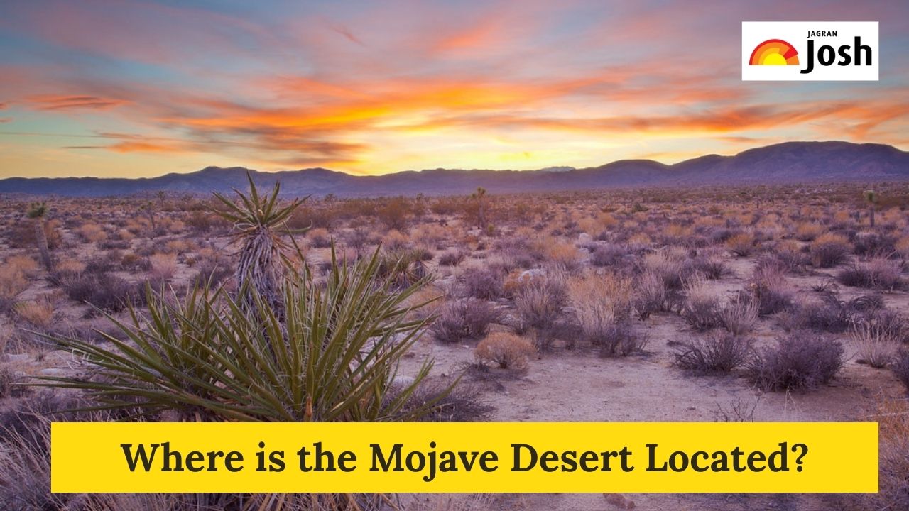 Where is the Mojave Desert Located? Check Map, Climate, and Facts