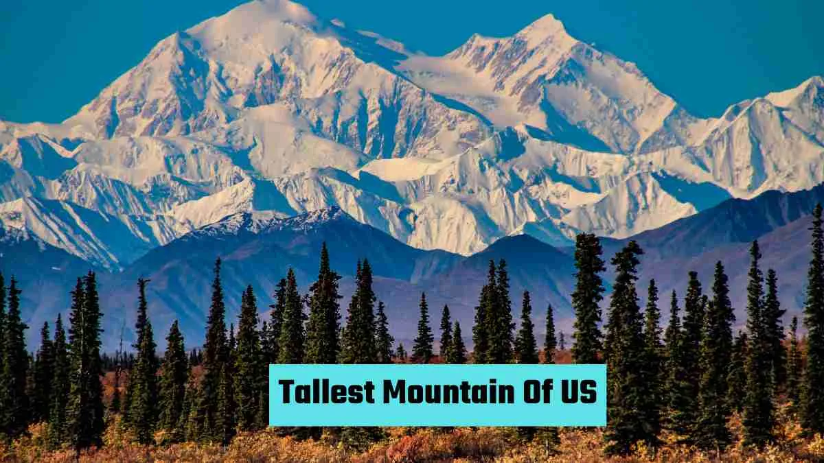 Tallest Mountain of US