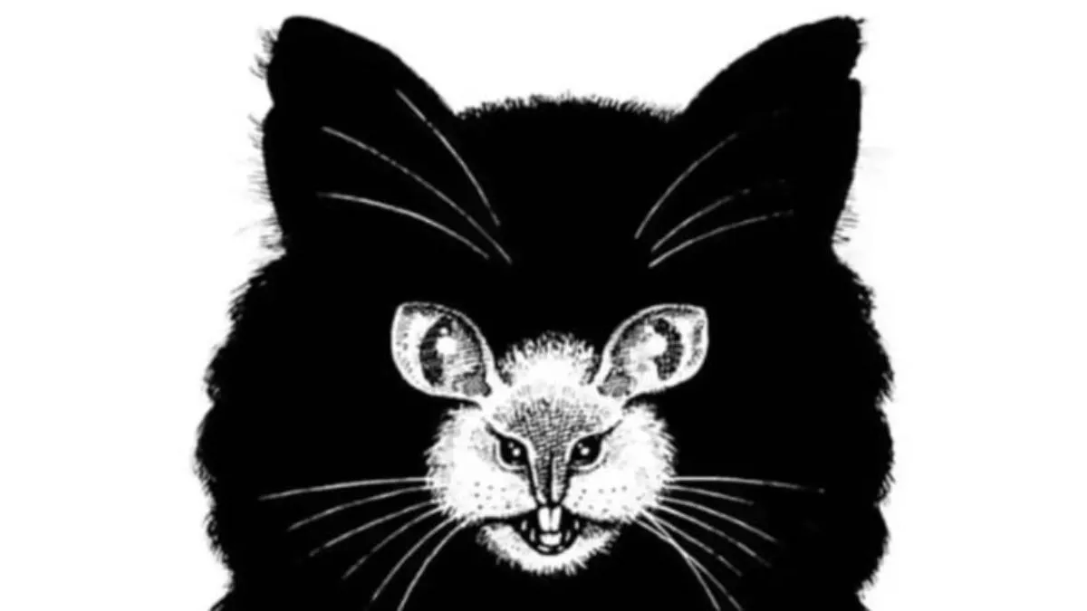 Optical illusion personality test: What do you see first, a cat or a mouse?