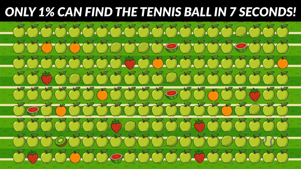 Only 1% can find the tennis ball in 7 seconds!