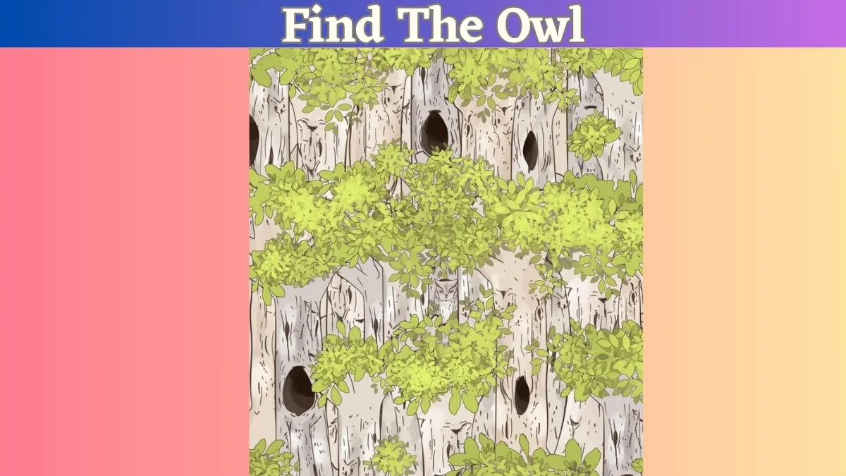 Visual Illusion Brain Teaser: Only People With Sharp Eyes Can Spot The Hidden Owl In the Shed Of Trees