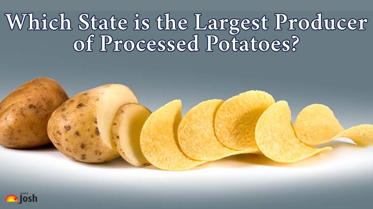 Which State is the Largest Producer of Processed Potatoes in India?