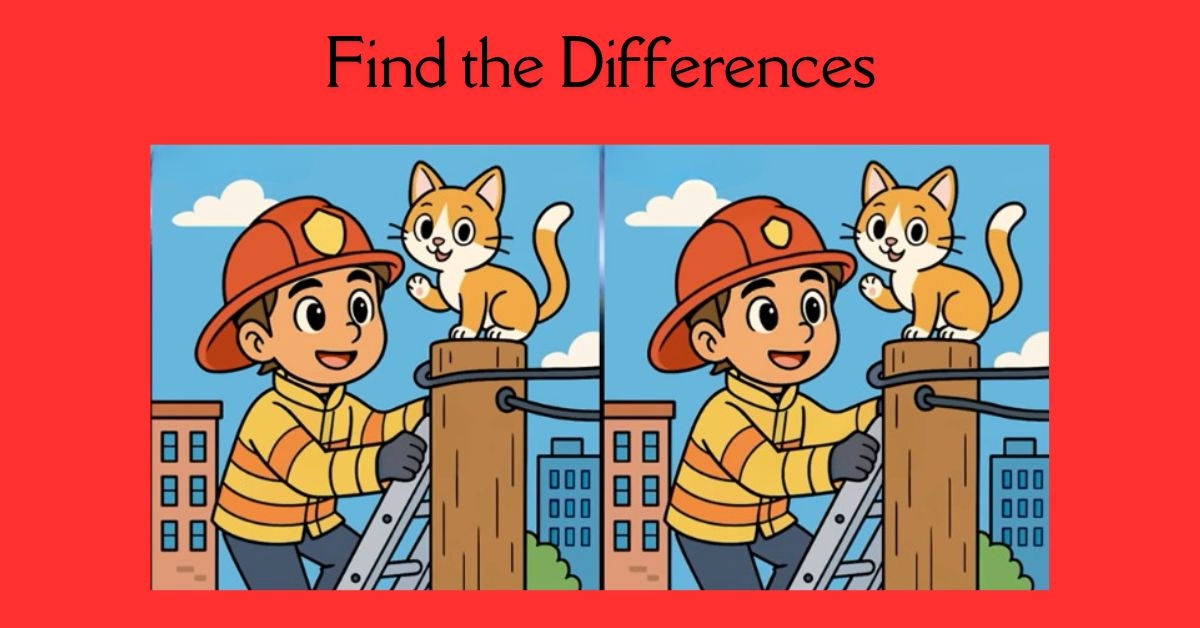 Spot the 3 Differences in Firefighter Saving Cat Beat the 27-Second Challenge!