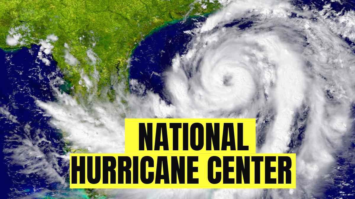 National Hurricane Center: Check Location, Present Director and Forecast Work