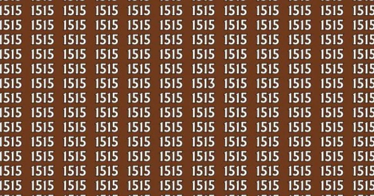 Only People With 163+ IQ Can Find the Hidden Odd 1513