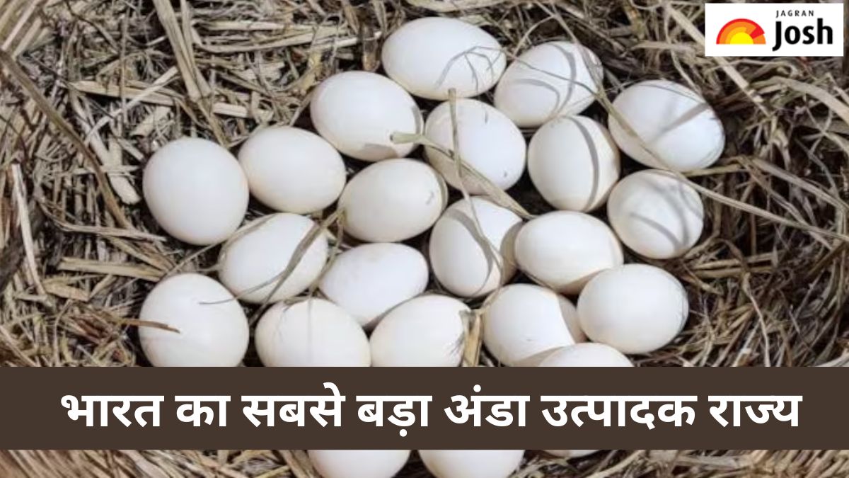 भारत का सबसे बड़ा अंडा उत्पादक राज्य कौन-सा है, यहां जानें