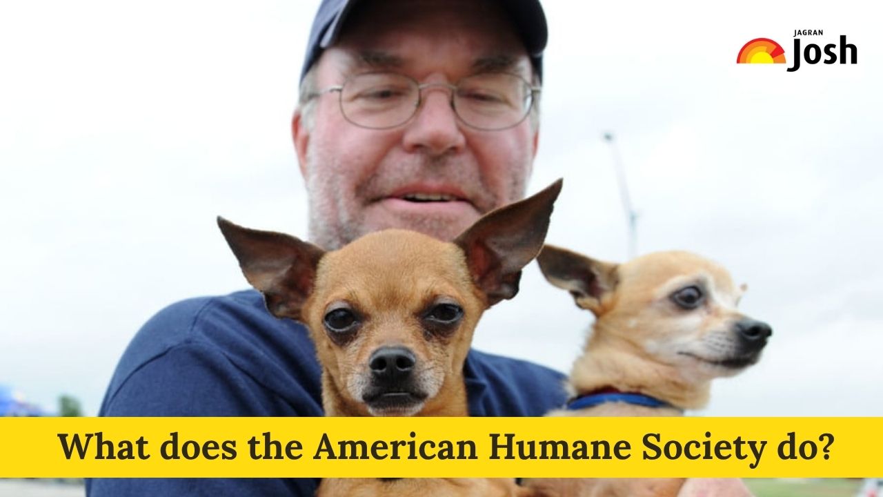 What does the American Humane Society do? Check History, Evolution, and Awards