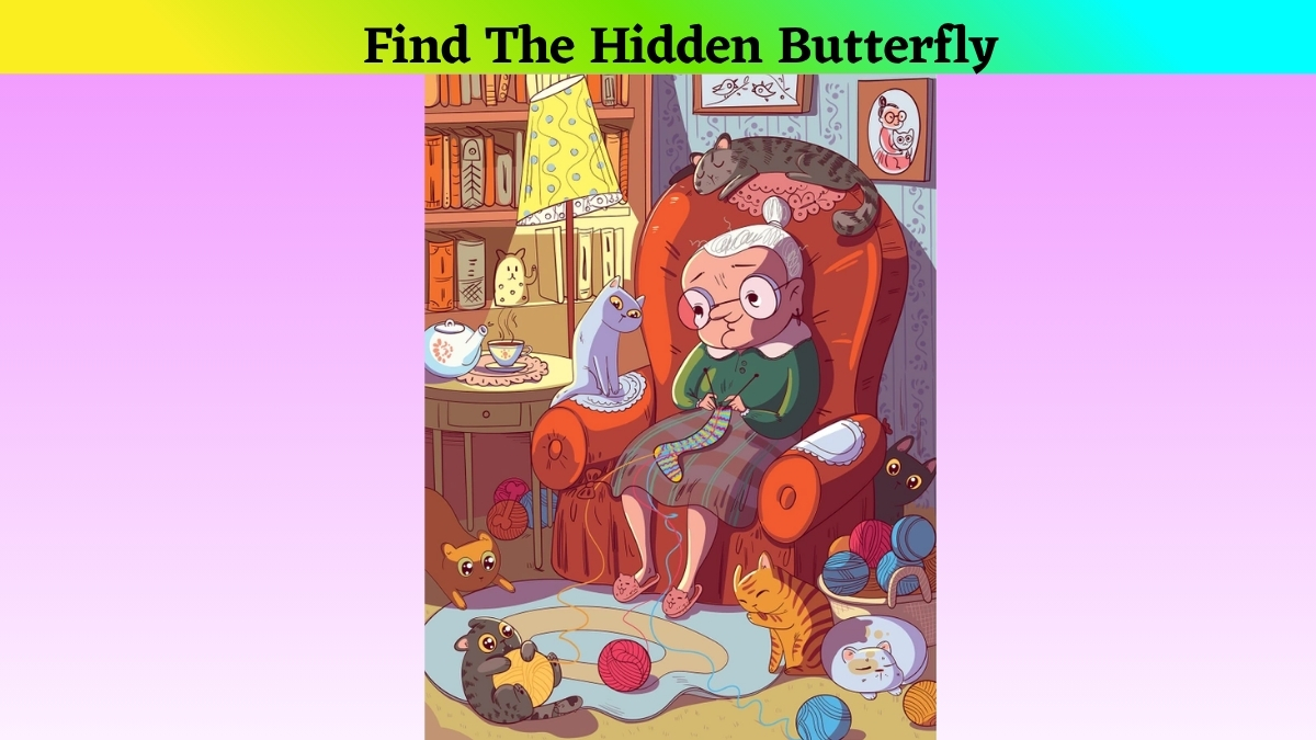 Using Your Hawk-Eye Vision, Find The Butterfly in This Optical Illusion of Old Lady Knitting Sweater Image