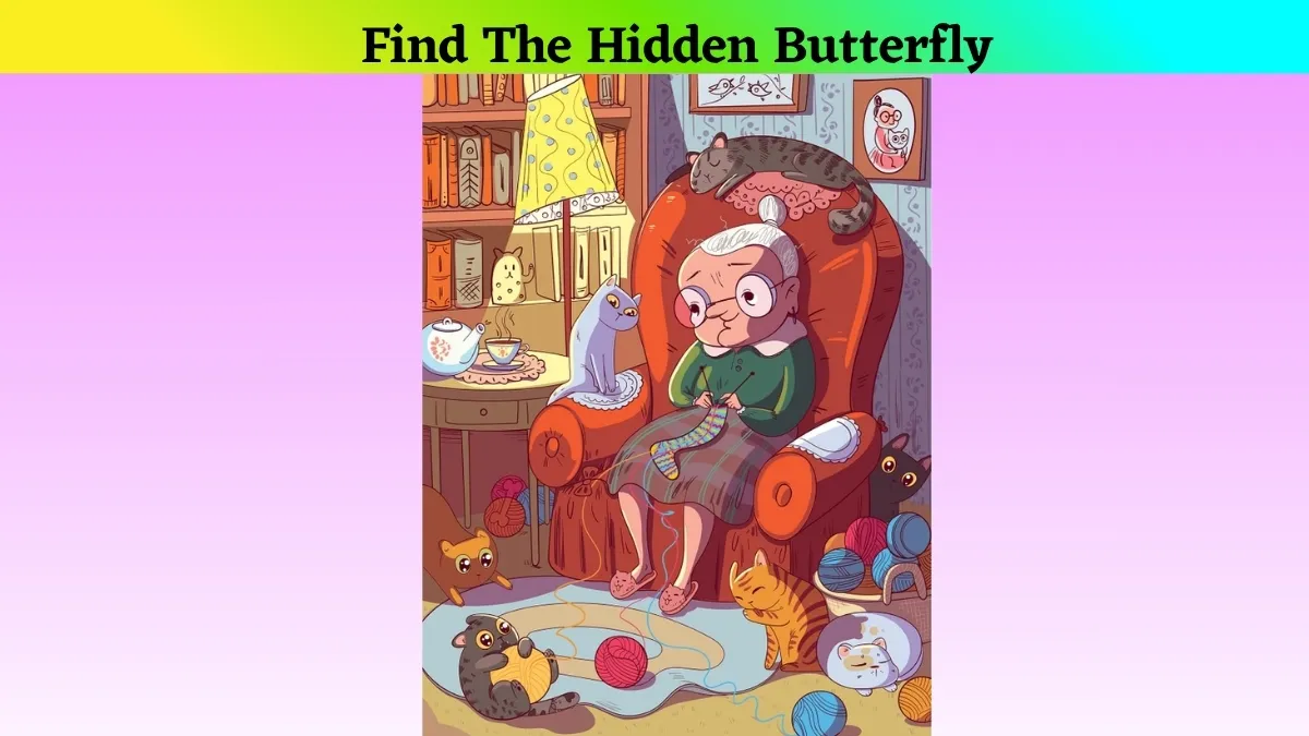 Using Your Hawk-Eye Vision, Find The Butterfly in This Optical Illusion of Old Lady Knitting Sweater Image