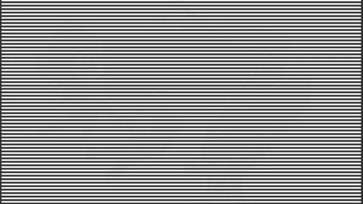 Only People With IQ Higher Than 200 Can Spot The Hidden Animal In 12 Seconds!