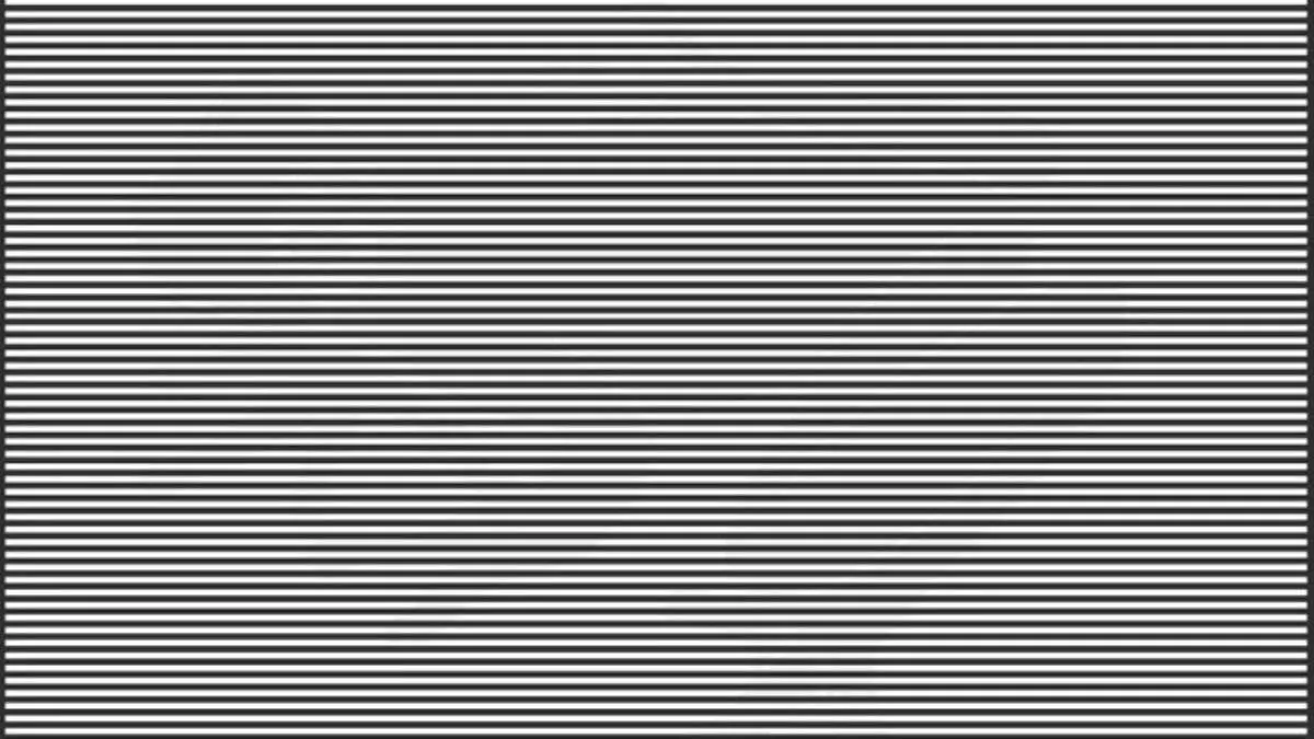 Spot the hidden animal in this optical illusion image.