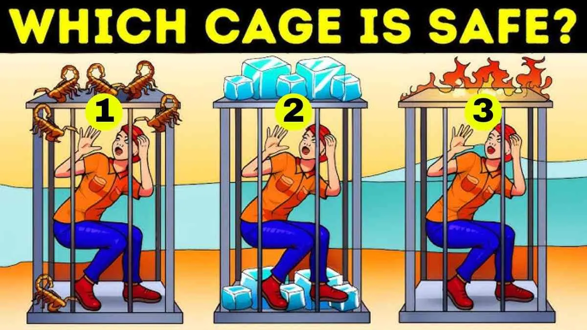 Spot which cage is safe.