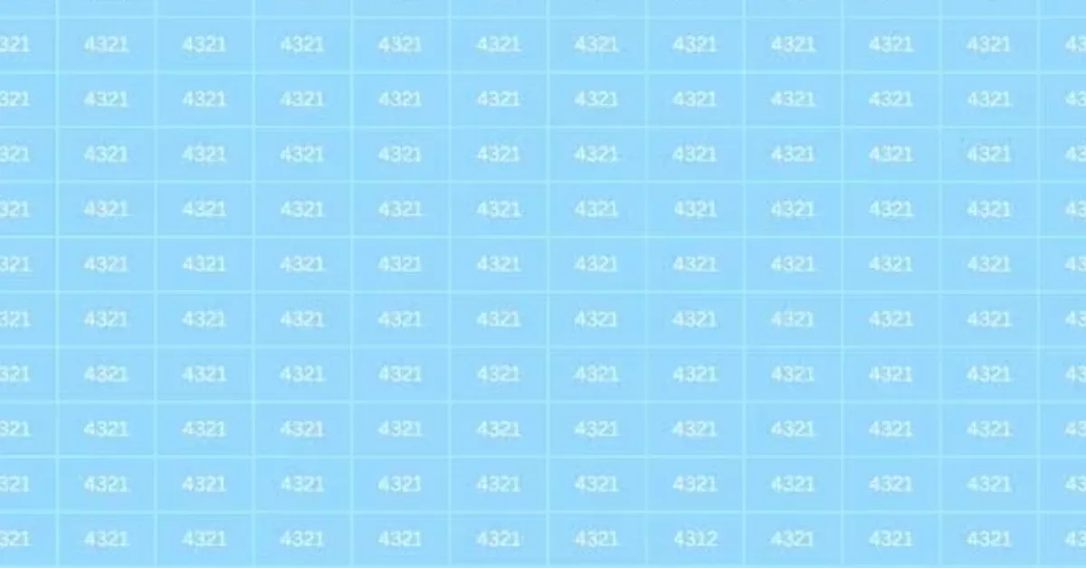 Spot the Hidden Number 4312
