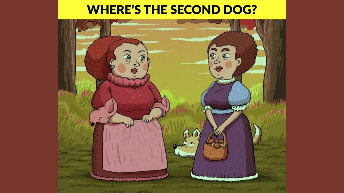 You Have 20/20 Vision and 140+ IQ if You Can Find the Second Dog in 5 Seconds!