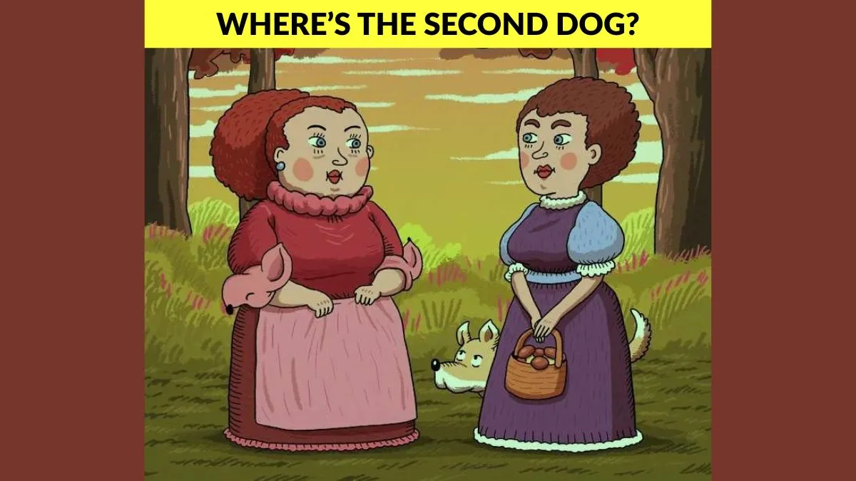 Find the second dog in 5 seconds!