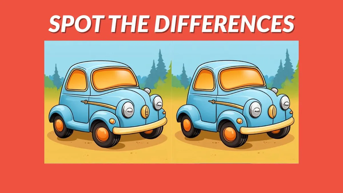 Spot the 3 differences in 29 seconds!