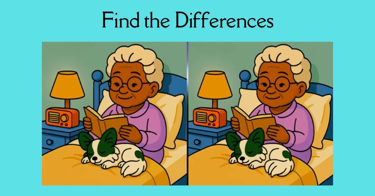 Spot the 3 Differences in Old Lady Reading A Book Beat the 27-Second Challenge!